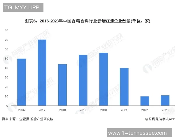 2025年足球星号排名前十名球员解析与未来发展趋势分析