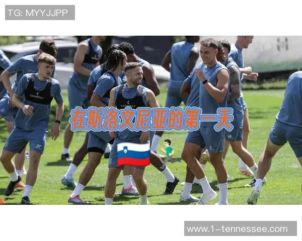 斯洛文尼亚足球历史十大球星盘点与他们的精彩成就分析