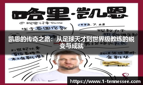 kaiyun电竞