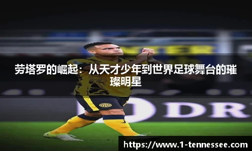 开云电竞